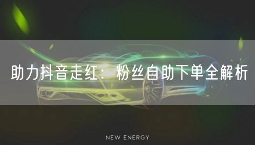 助力抖音走红：粉丝自助下单全解析