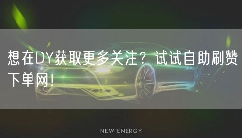 想在DY获取更多关注？试试自助刷赞下单网！